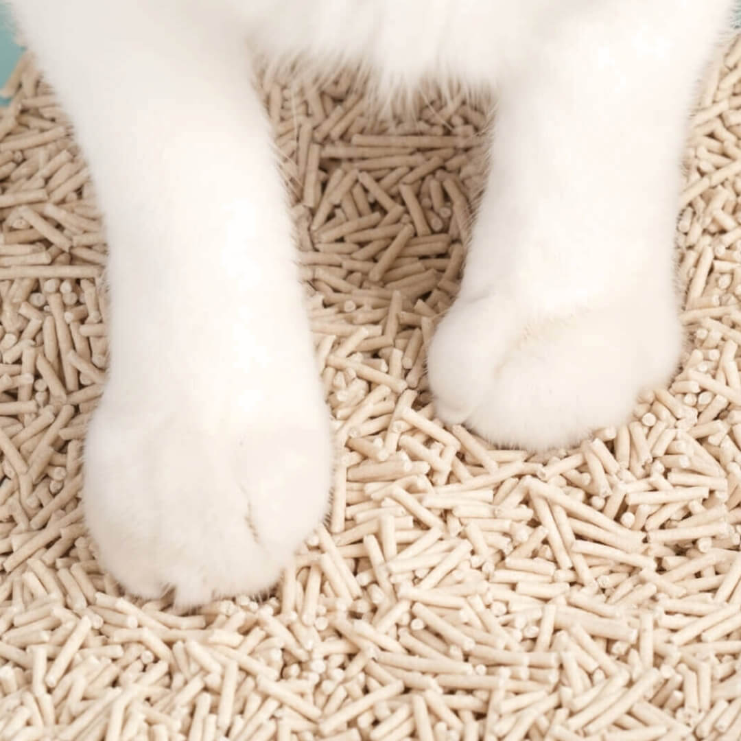 PREMIUM Nature - Arena de pellets ECO